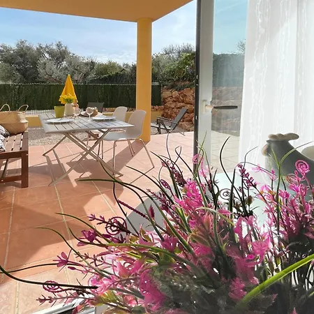 Bastidon De L'olivaie Bandol